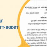 Bộ GDĐT ban hành Thông tư về quản lý và tổ chức dạy học trực tuyến